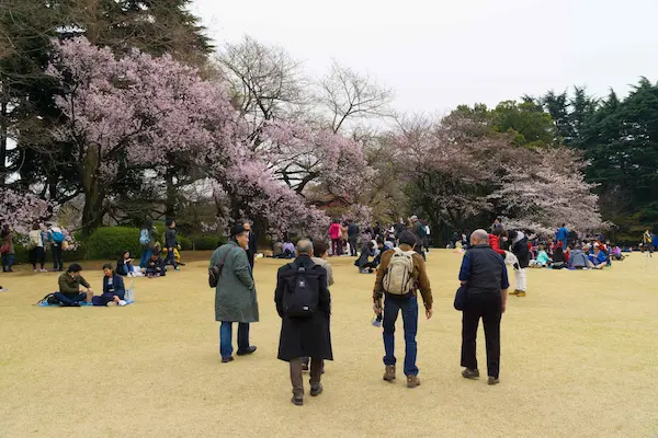 Japanese traditional garden (3)